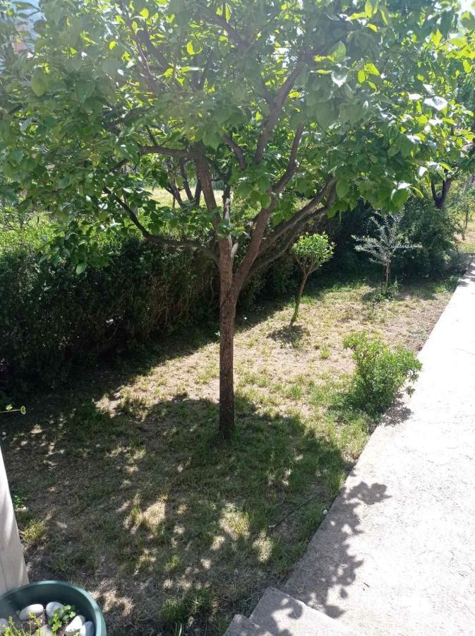 Apartment Ivan Kotor Ngoại thất bức ảnh